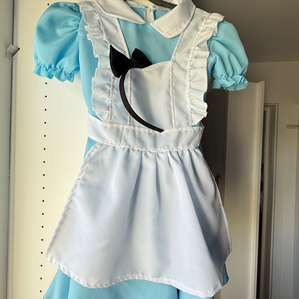Alice in Wonderland Inspired Blue and White Kids Costume Dress